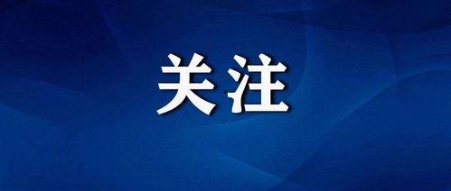 头条怎样看付费节目收益,收益背后的秘密解析