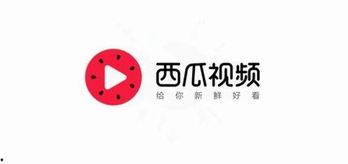 头条视频升级西瓜视频,升级西瓜视频引领短视频新潮流